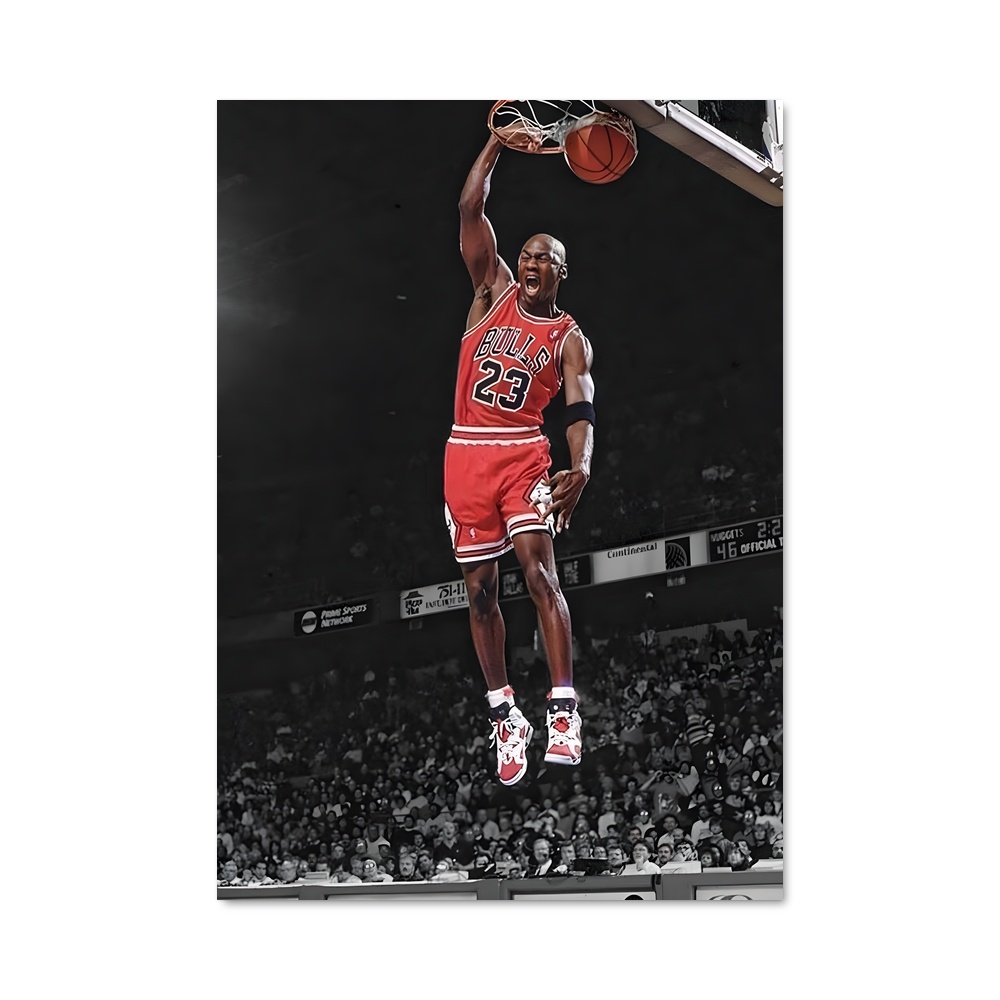 Poster Chicago bulls